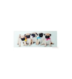 Obraz Girls&Boys 30 cm x 80 cm Assorted
