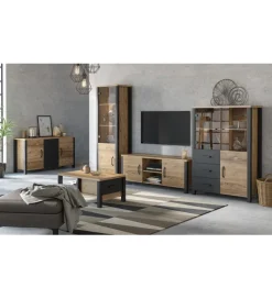 Stolik pod Tv OLIN WM 147 cm w optyce świerku Appenzeller