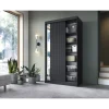 Szafa przesuwna PRESCCO II z lustrem 120 cm czarny