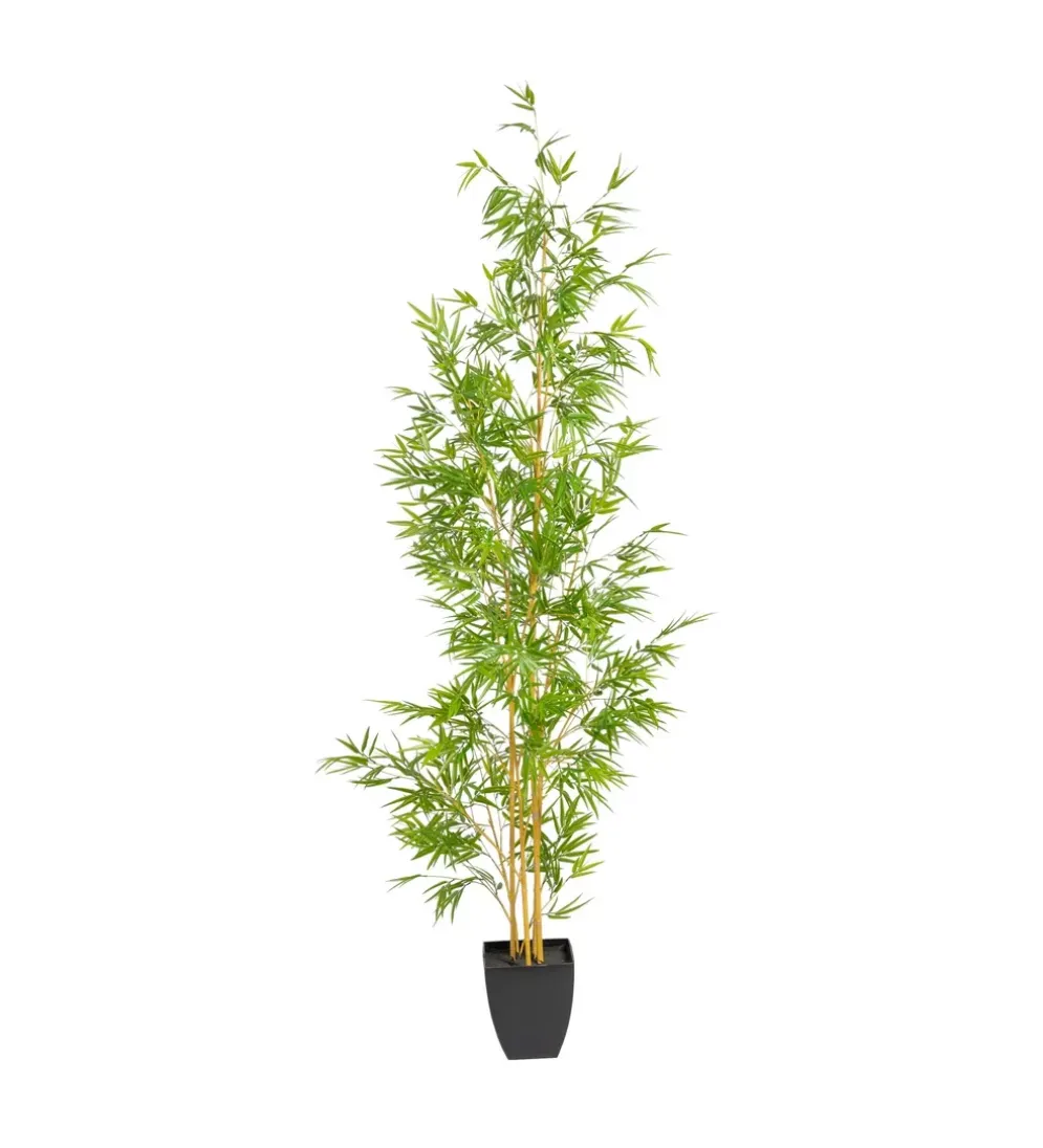 Sztuczna roślina BAMBUS 220 cm