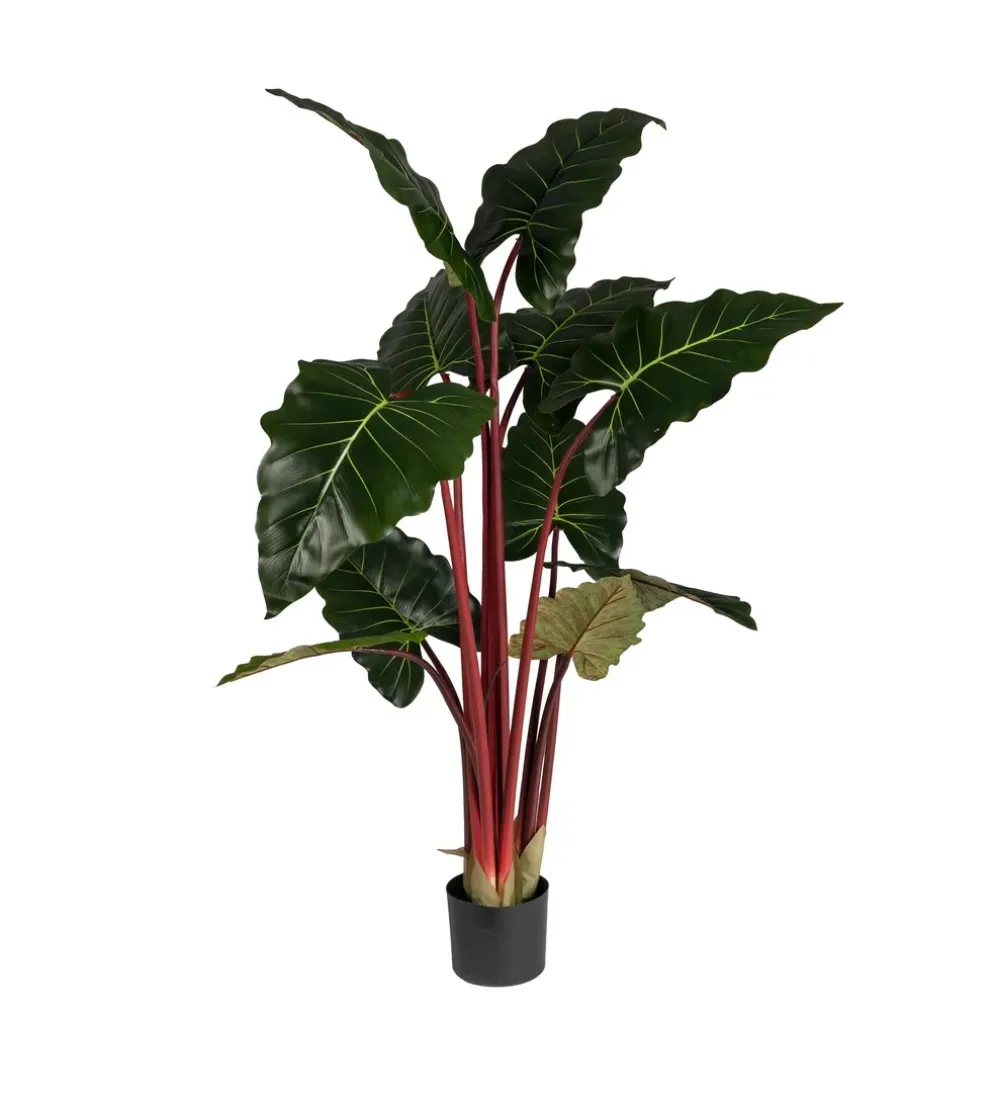 Sztuczna roślina COLOCASIA 160 cm