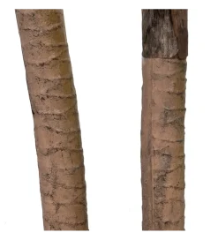 Sztuczna roślina DRACAENA 110 cm