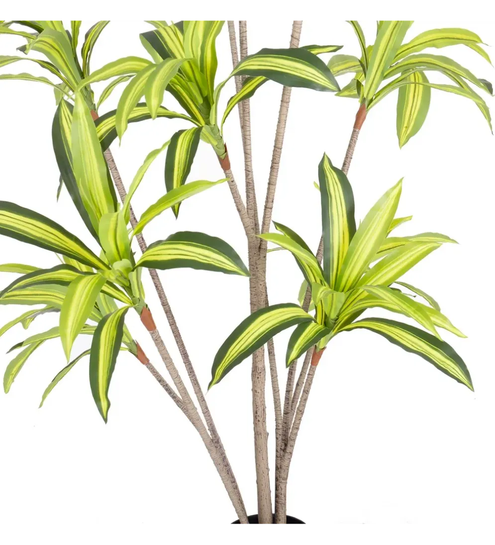 Sztuczna roślina DRACENA 210 cm