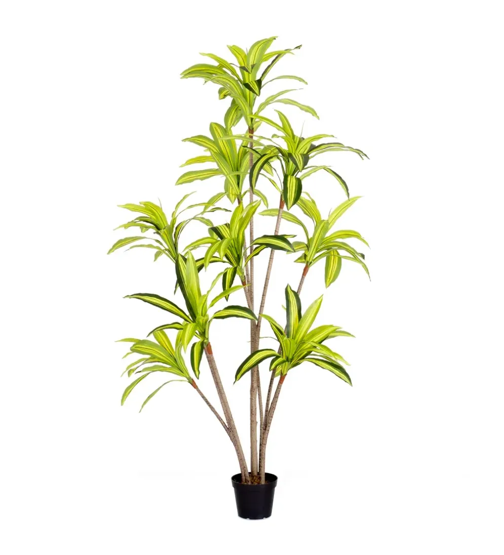 Sztuczna roślina DRACENA 210 cm