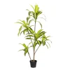 Sztuczna roślina DRACENA 150 cm