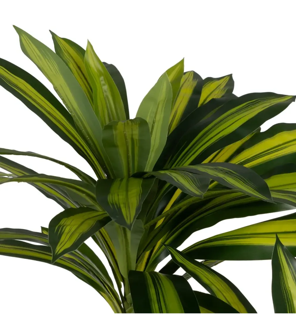 Sztuczna roślina drzewo DRACAENA 200 cm