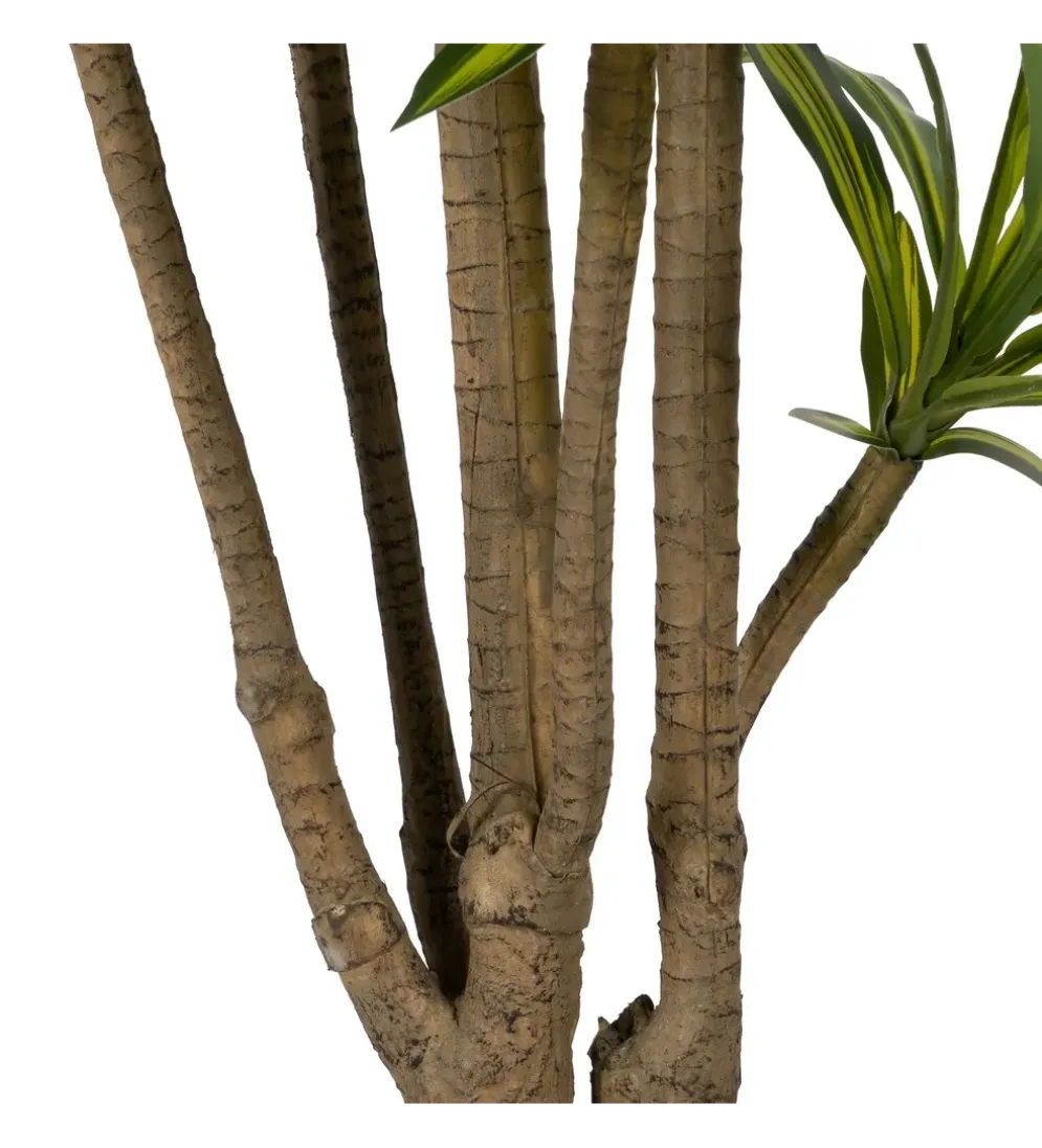 Sztuczna roślina drzewo DRACAENA 200 cm