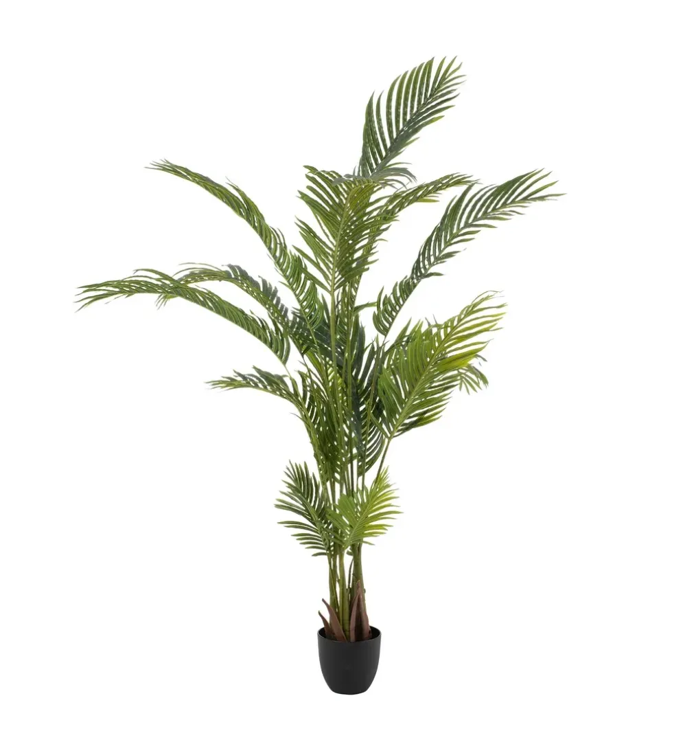 Sztuczna roślina PALMERA 170 cm